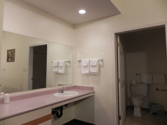 Bathroom 4, Skagit Motor Inn, Fraser Valley