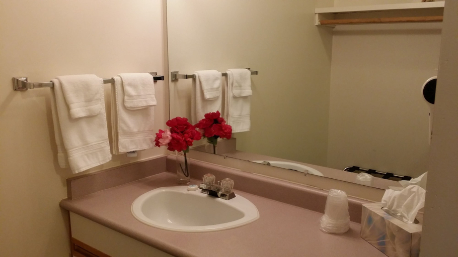 Bathroom 3, Skagit Motor Inn, Fraser Valley