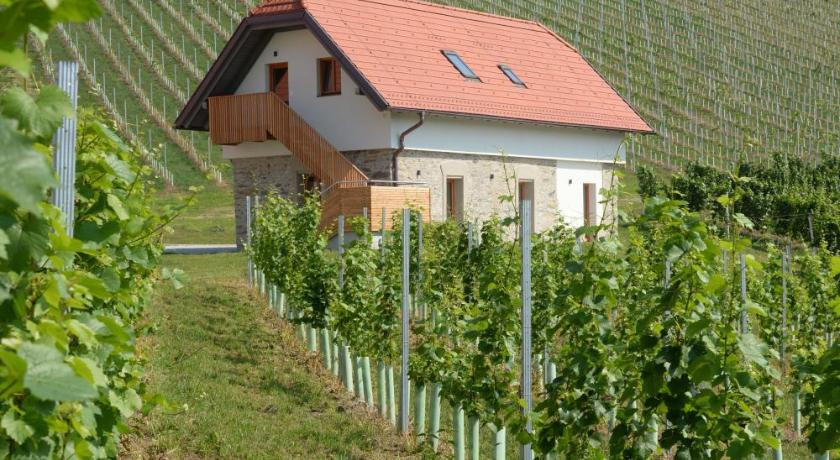 Exterior & Views 5, Weingut Taggenbrunn, Sankt Veit an der Glan