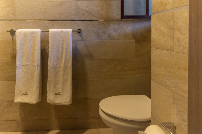 Bathroom 4, Hotel Hidalgo, Querétaro