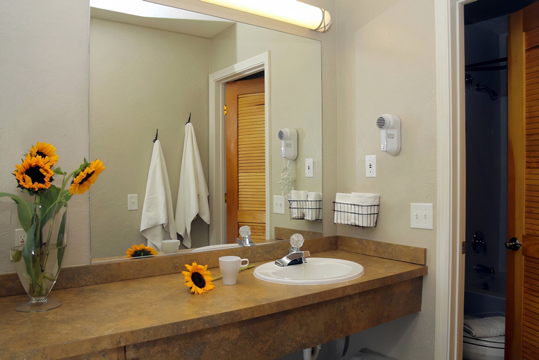 Bathroom 4, Hotel California - A Town & Desert Boutique Hotel, Riverside