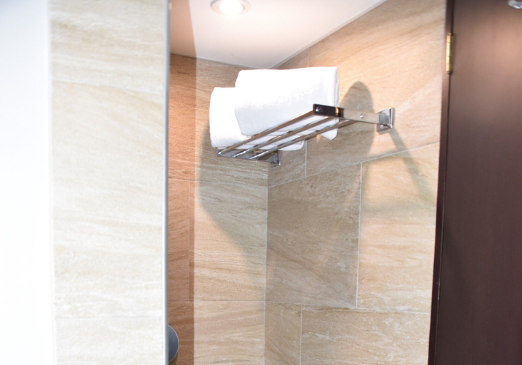 Bathroom 5, Hotel Royal Reforma, Mexico City
