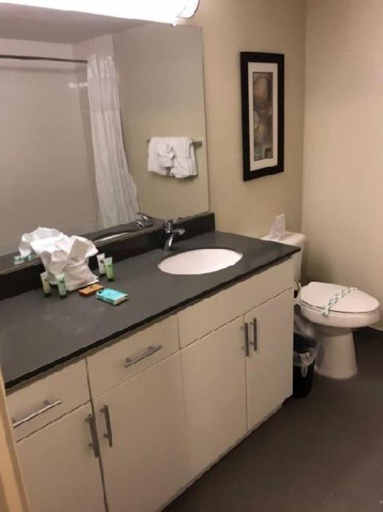 Bathroom, Harbor Steps, Seattle