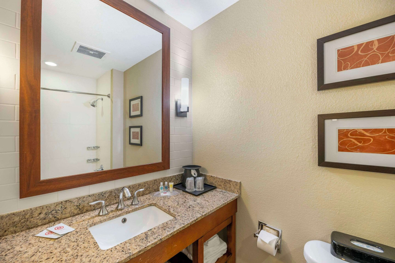 Bathroom 4, Comfort Suites Carlsbad, Eddy