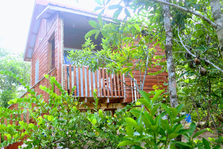 Exterior & Views 2, Palmento Grove Eco Cultural & Fishing Lodge