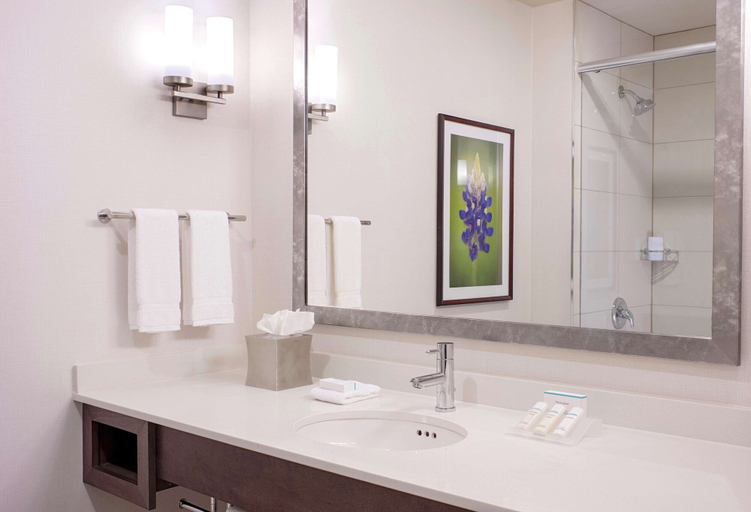 Bathroom 4, Hilton Garden Inn Downtown Dallas, Dallas