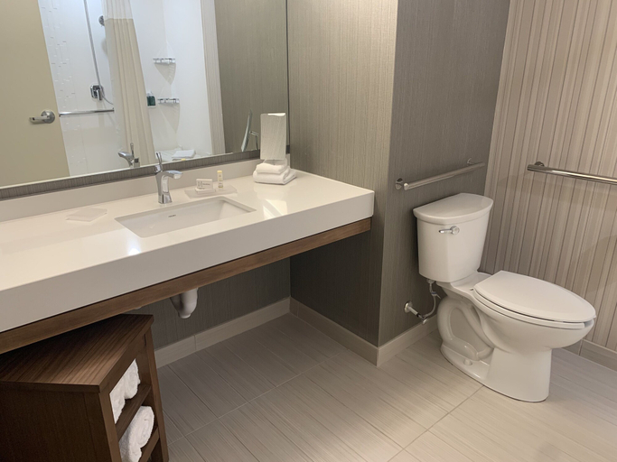 Bathroom 4, Courtyard by Marriott  East Lansing Okemos, Ingham
