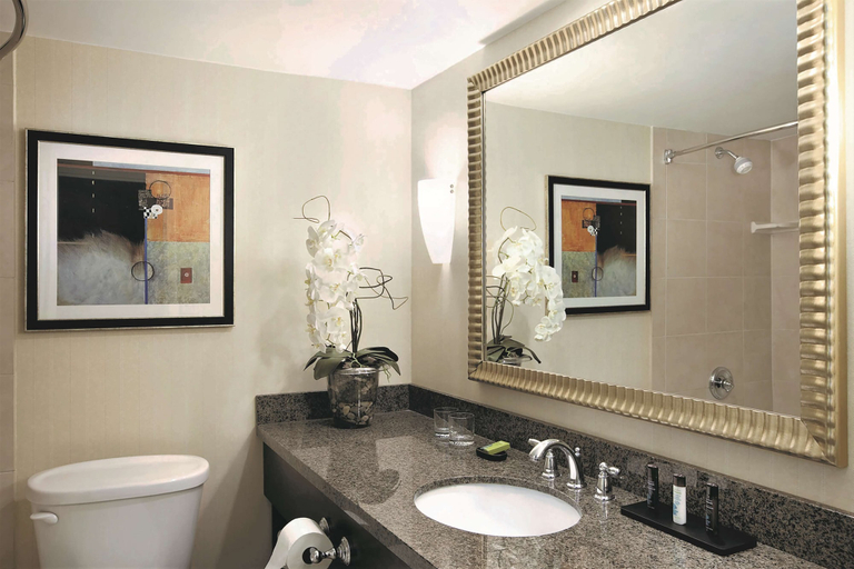 Bathroom 3, Embassy Suites Hotel Denver Tech Center, Arapahoe