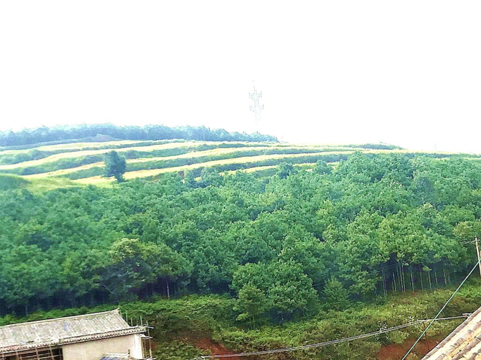 Others 5, Hongjingxuan Hotel, Kunming
