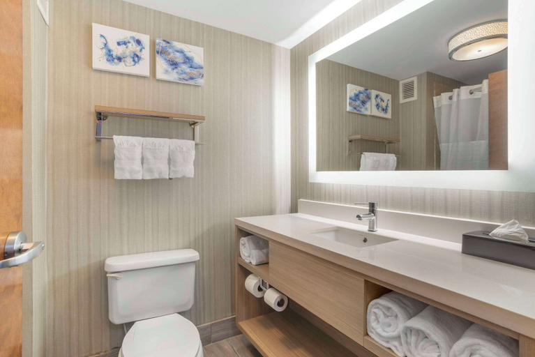 Bathroom 4, Comfort Suites At WestGate Mall, Spartanburg