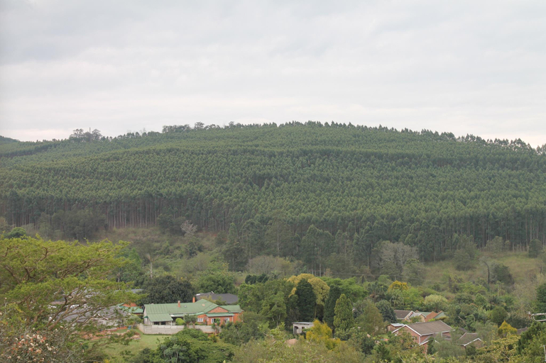 Others 4, Su Casa Guesthouse , Umgungundlovu