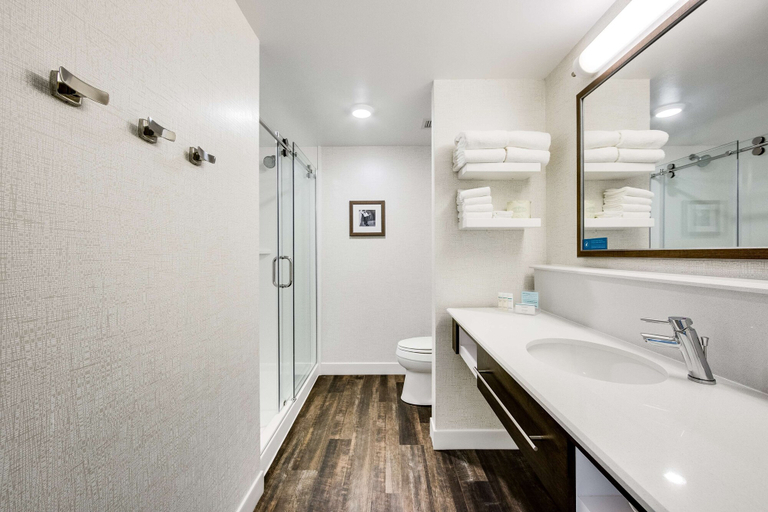 Bathroom 5, Hampton Inn & Suites Fort Worth Downtown, Fort Worth