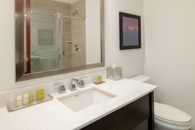 Bathroom 4, DoubleTree by Hilton Portland - Tigard, Washington