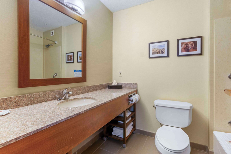 Bathroom 4, Comfort Inn & Suites Rapid City South - Mt. Rushmore Gateway, Pennington