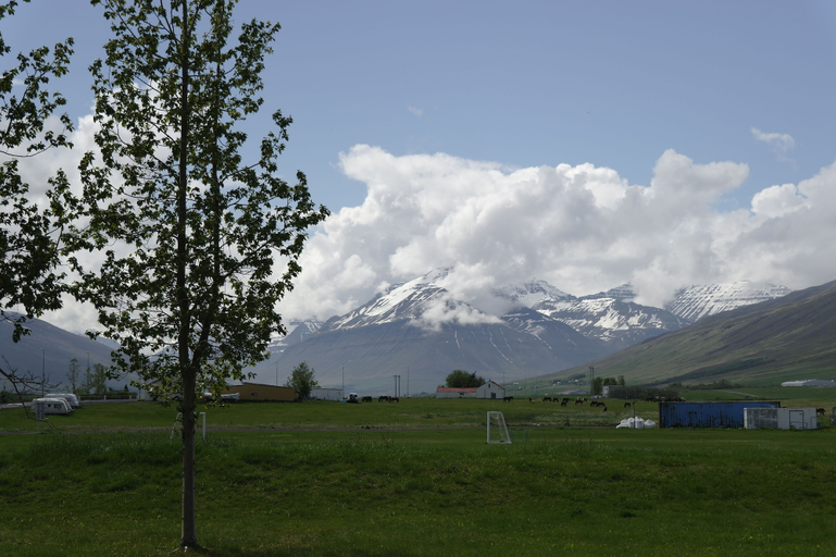 Others 5, Hotel Dalvik - Aurora Leisure, Dalvíkurbyggð