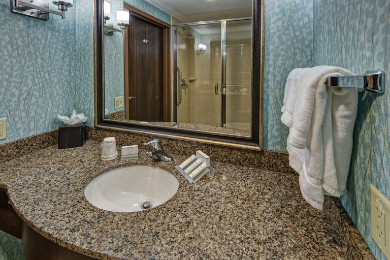 Bathroom 5, Hilton Garden Inn Tulsa Midtown, Tulsa