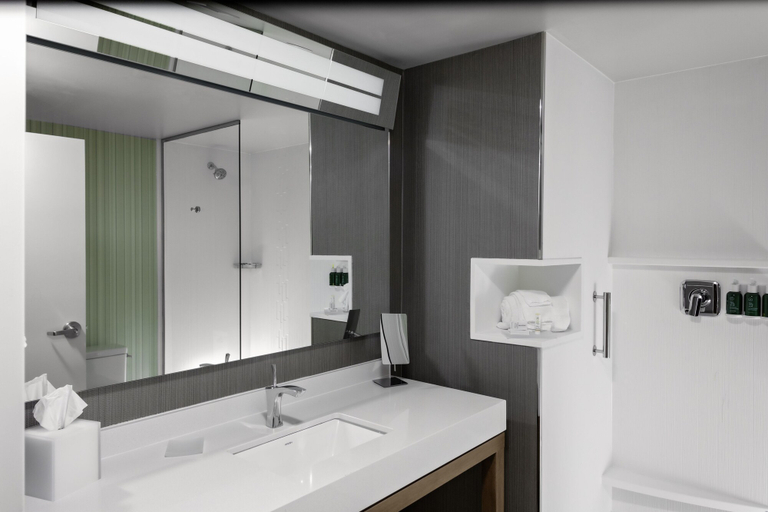 Bathroom 3, Courtyard by Marriott  East Lansing Okemos, Ingham