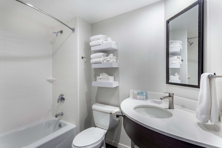 Bathroom 5, Hampton Inn Milwaukee-Airport, Milwaukee
