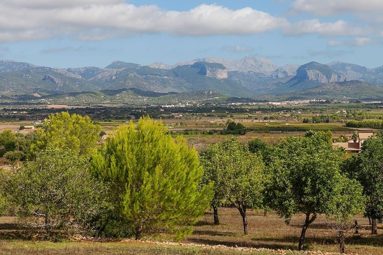 Others 5, Holiday Country house Mallorca, Baleares
