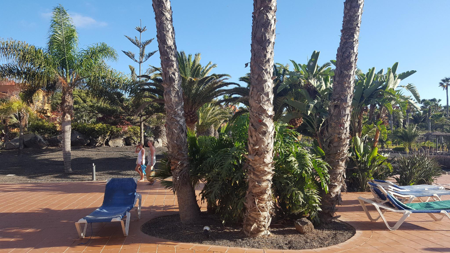 Others 3, Oasis Royal 2 Dormitorios Piscinasfibra Optica, Las Palmas