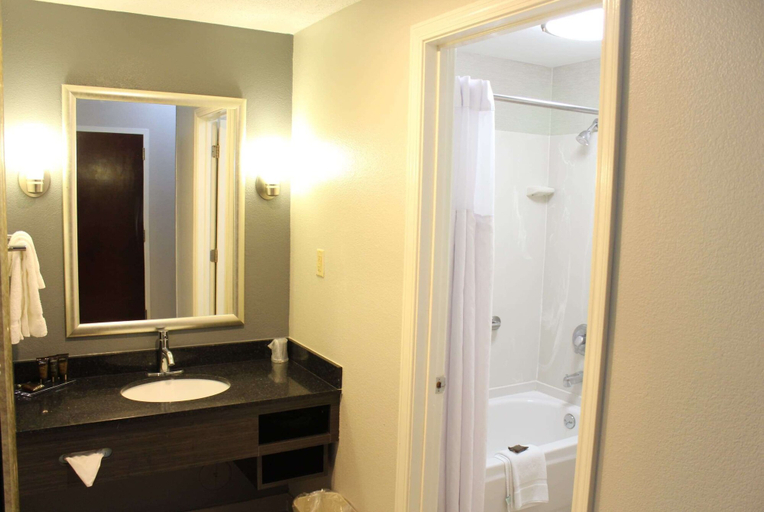 Bathroom 3, Wingate by Wyndham Savannah I-95 North, Chatham