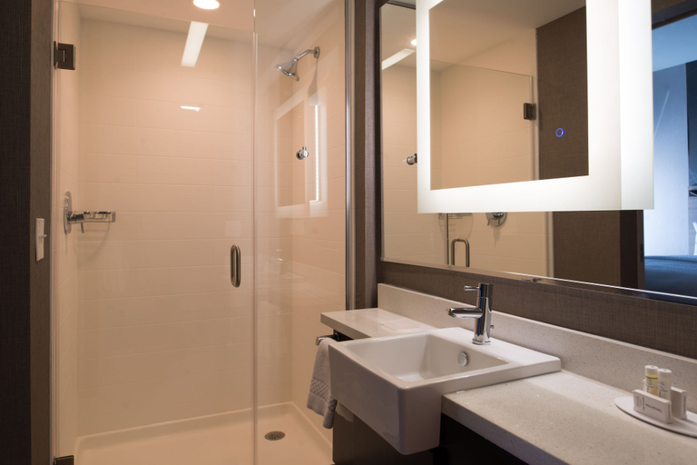 Bathroom 5, SpringHill Suites by Marriott Greensboro Airport, Guilford