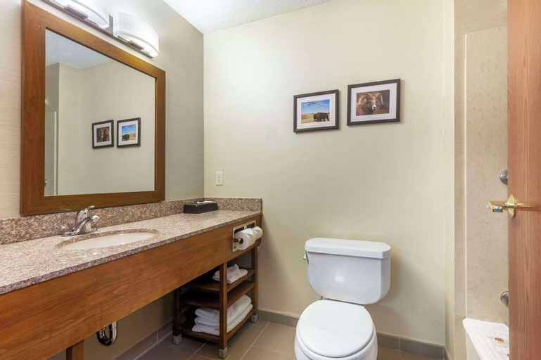 Bedroom 4, Comfort Inn And Suites, Pennington