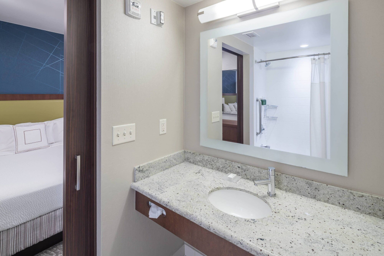 Bathroom 4, Springhill Suites by Marriott Alexandria Old Town/Southwest, Alexandria