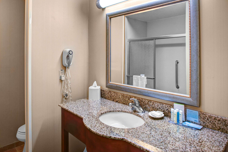 Bathroom 4, Hampton Inn Coldwater, Branch