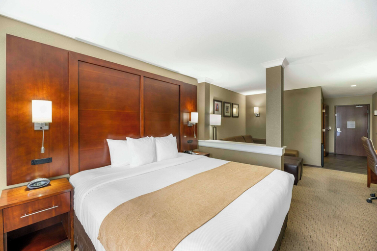 Bedroom 3, Comfort Suites Carlsbad, Eddy