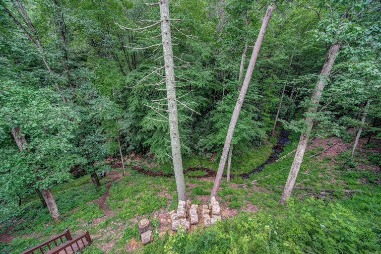 Others 5, Bear Track Falls Retreat Mtn. Getaway!, Fannin