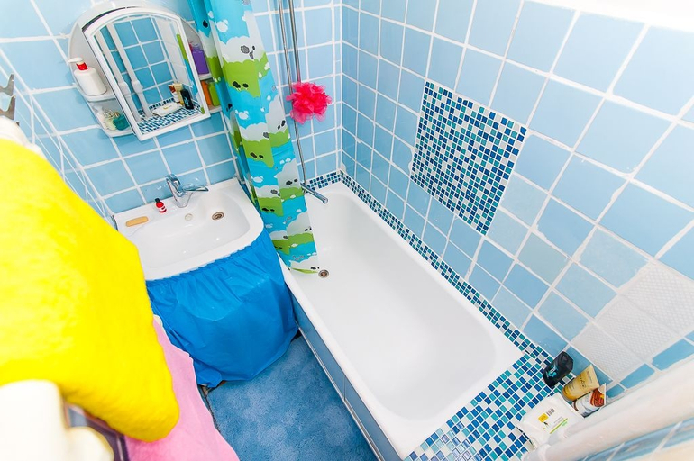 Bathroom 3, Apartment on Monetchikovskii, Central