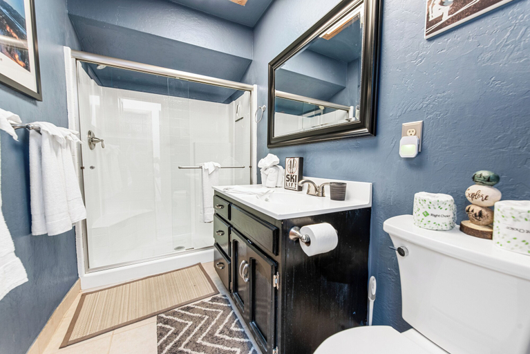 Bathroom 4, Mount Bearadise, San Bernardino