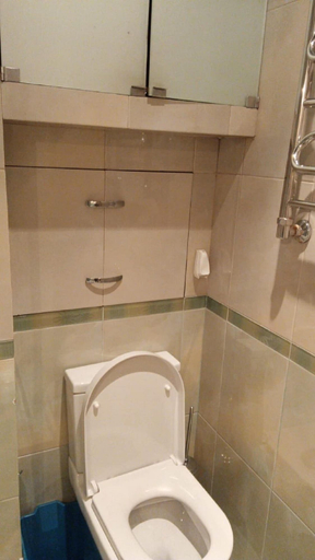 Bathroom 2, Apartment on 4 Vyatskii Pereulok, Northern