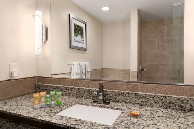 Bathroom 4, Wyndham Garden State College, Centre