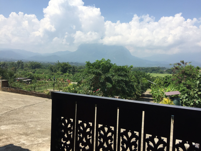 Scenery 1