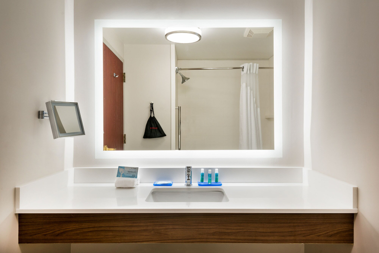 Bathroom 5, Holiday Inn Express & Suites BARTOW by IHG, Polk