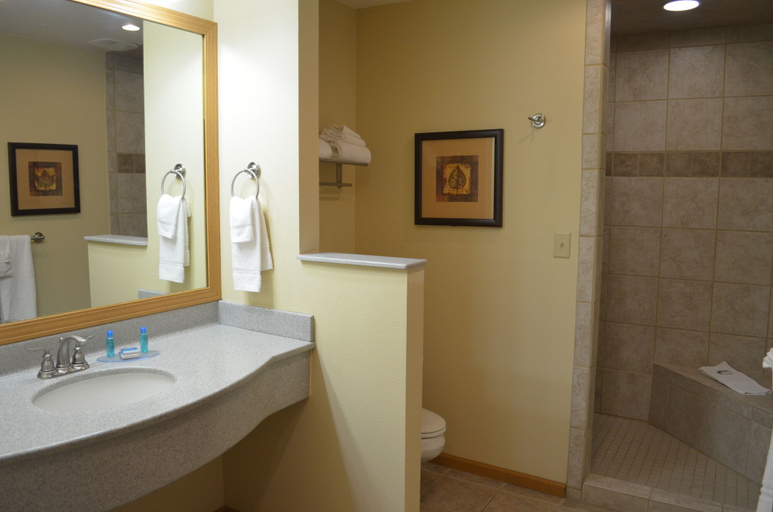 Bathroom 3, Crossroads Hotel and Event Center, Webster