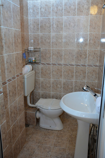 Bathroom, Trenchova Guest House, Bansko