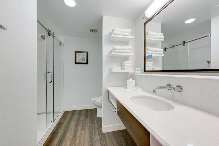 Bathroom 4, Hampton Inn & Suites North Houston Spring, Houston