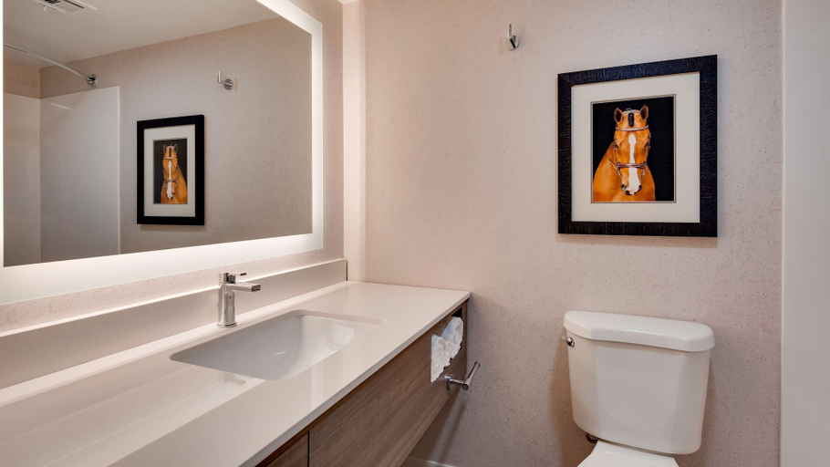 Bathroom 5, Aiden by Best Western Scottsdale North, Maricopa
