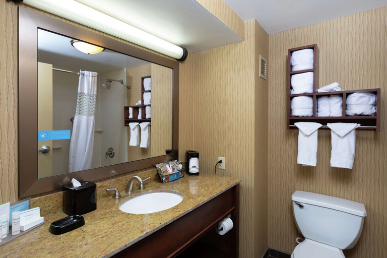 Bathroom 4, Hampton Inn Houma, Terrebonne