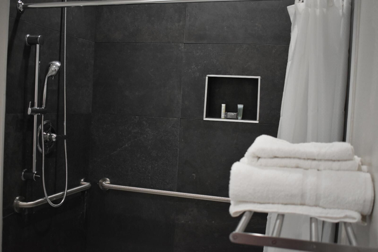 Bathroom 5, Bluestar Inn, Houston
