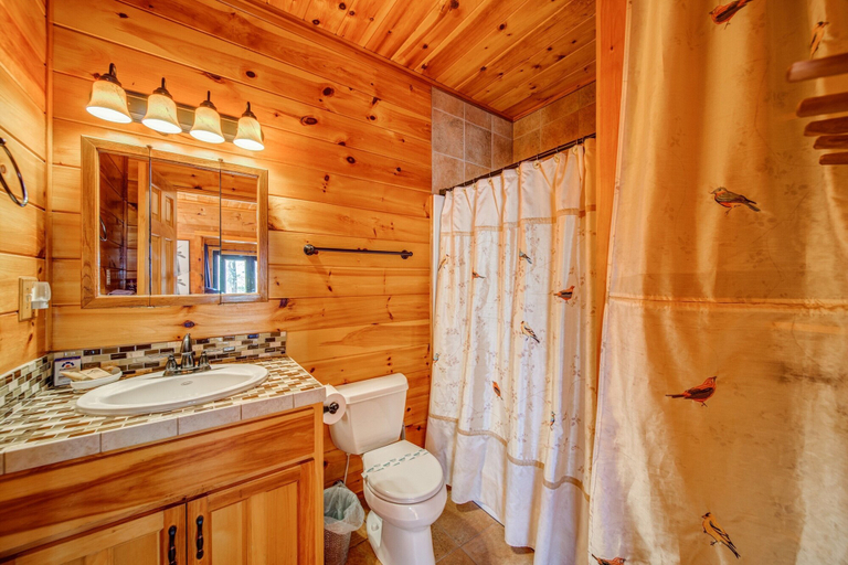 Bathroom 4, Blueridge Lodge Wrap-around Deck, Fannin