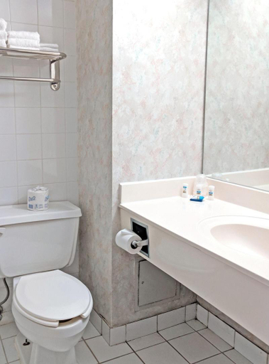 Bathroom 3, Chestnut Residence and Conference Centre - University of Toronto, Toronto