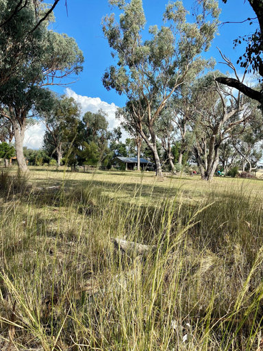 Others 4, Little House in the Nursery, Liverpool Plains