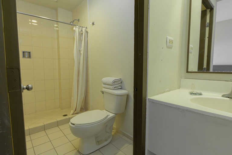 Bathroom 4, Hotel Plaza del Arco Express, Monterrey