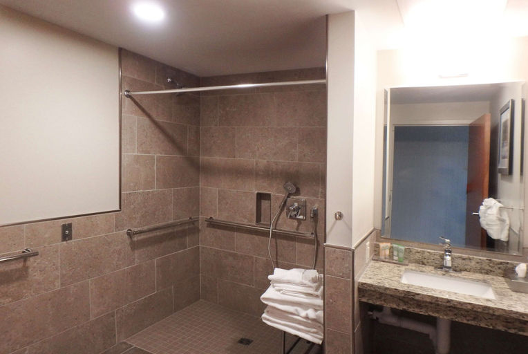 Bathroom 4, Wyndham Garden State College, Centre