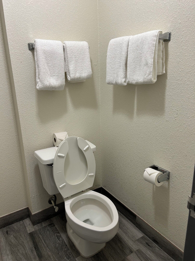 Bathroom 4, Clarion Pointe - Greensboro Coliseum Area, Guilford
