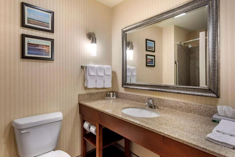 Bathroom 4, Comfort Suites Florence Shoals Area, Lauderdale